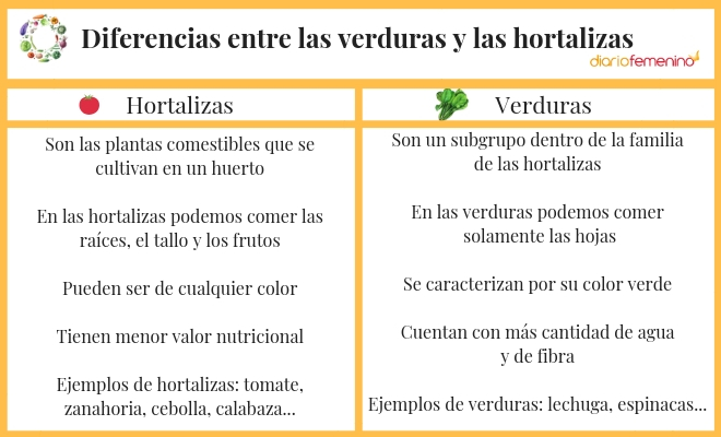¿verduras U Hortalizas Descubre Por Fin Sus Diferenciasemk 2451